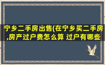 宁乡二手房*(在宁乡买二手房,房产过户费怎么算 过户有哪些手续)